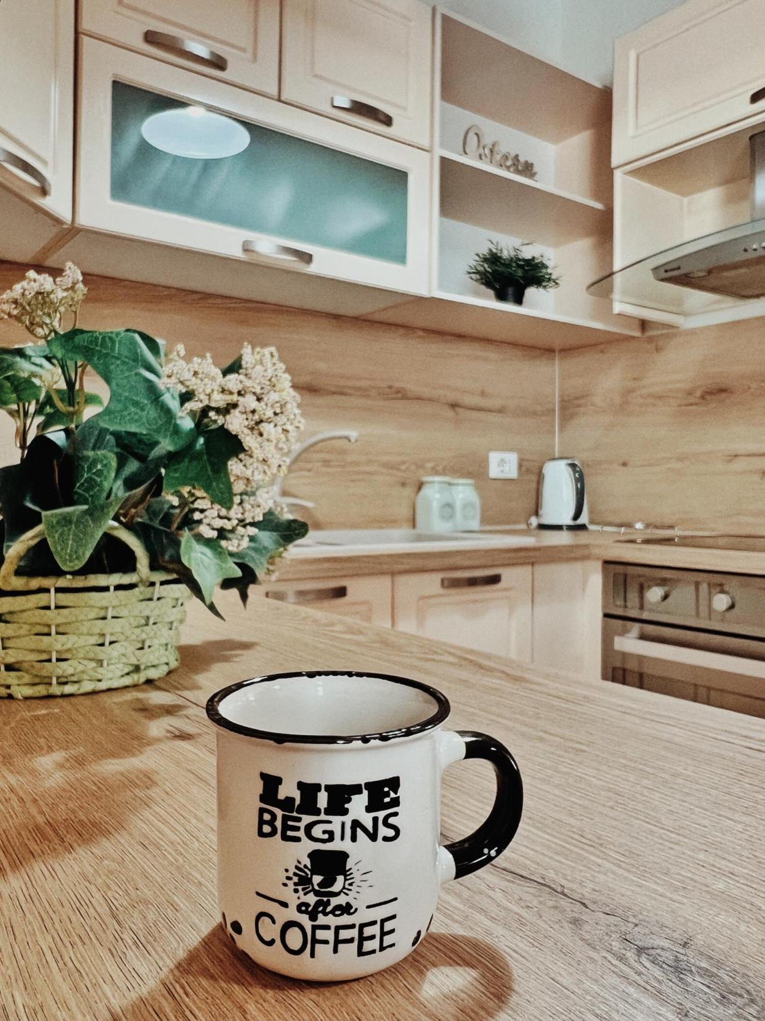 Cozy Rooftop Apartment - Your Home, Away From Home! Tiran Dış mekan fotoğraf