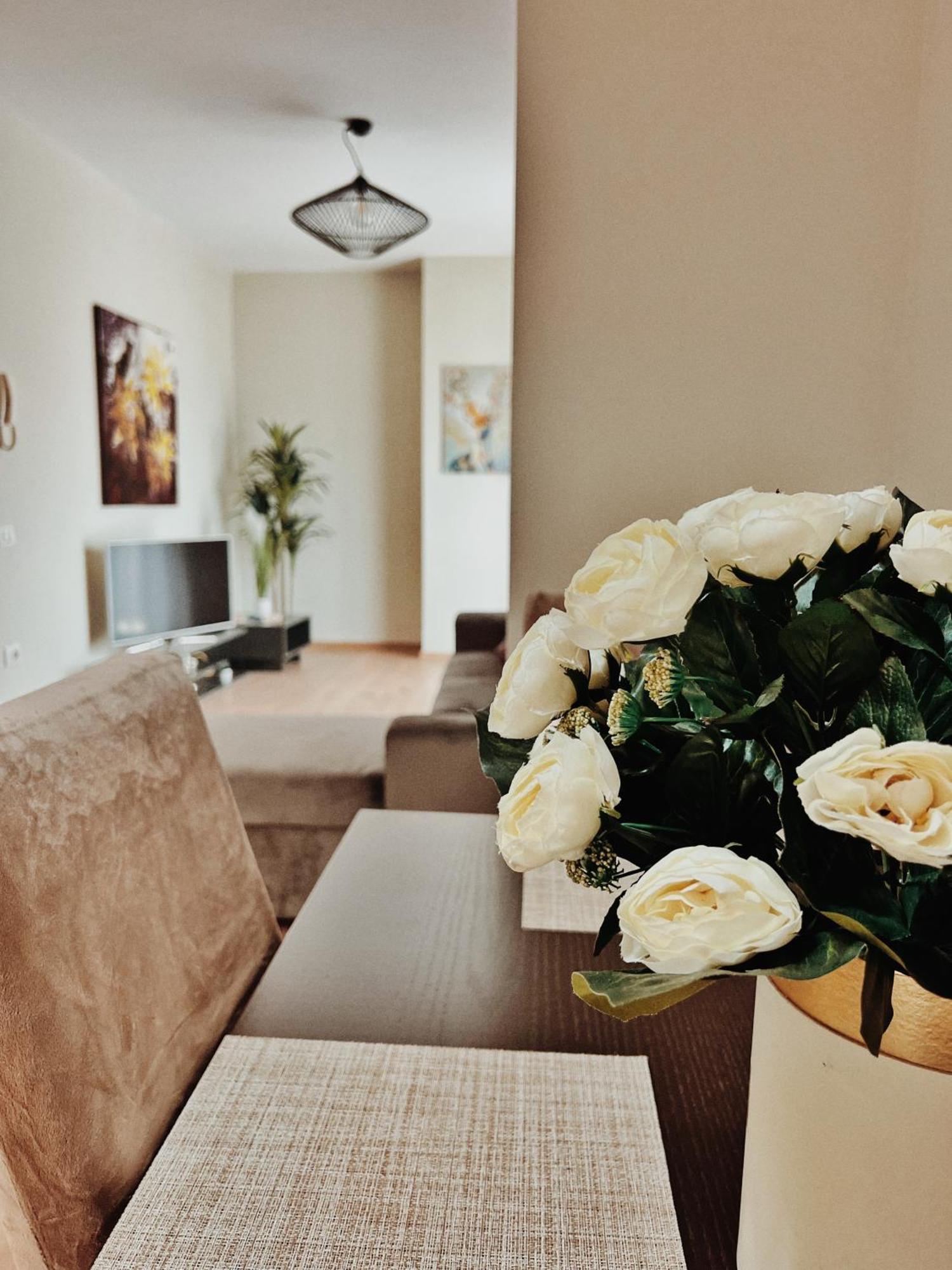 Cozy Rooftop Apartment - Your Home, Away From Home! Tiran Dış mekan fotoğraf